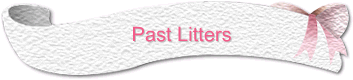 Past Litters
