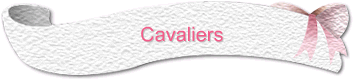 Cavaliers