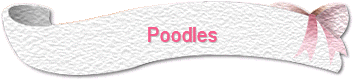 Poodles